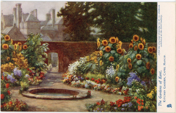 Gardens of Kent Kitchen Garden Vintage Tuck's Oilette Botanical Postcard 1910s (unused) - Vintage Postcard Boutique