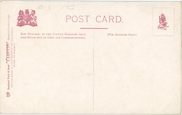 Gardens of Kent Spring & Summer Vintage Tuck's Oilette Botanical Postcard 1910s (unused) - Vintage Postcard Boutique
