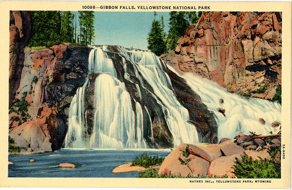 Yellowstone National Park Gibbon Falls Wyoming Vintage Postcard (unused) - Vintage Postcard Boutique