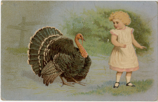 Turkey and Little Girl Thanksgiving Vintage Postcard 1907