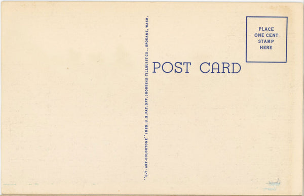 Glacier National Park Montana Logan Pass Vintage Postcard (unposted)