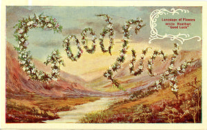 Language of Flowers White Heather "Good Luck" Vintage Botanical Postcard