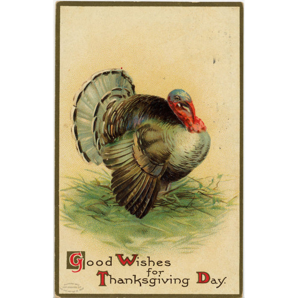 Good Wishes Thanksgiving Day Turkey unsigned Clapsaddle Vintage Embossed Postcard 1908
