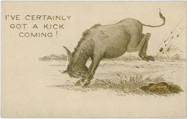 Donkey Humor I've Certainly Got A Kick Coming Vintage Comic Postcard c 1910s (unposted)