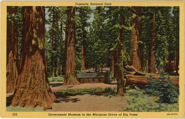 Mariposa Grove Government Museum Yosemite National Park California Vintage Postcard (unposted)