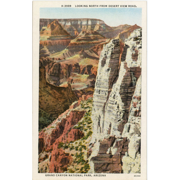 Grand Canyon National Park Arizona From Desert View Vintage Postcard FRED HARVEY (unposted)