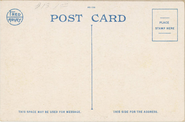 Grand Canyon National Park Arizona from Grand View Pt Vintage Postcard FRED HARVEY (unposted)