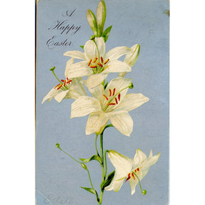 Easter Lilies Vintage Silver Botanical Postcard Embossed 1900s - Vintage Postcard Boutique