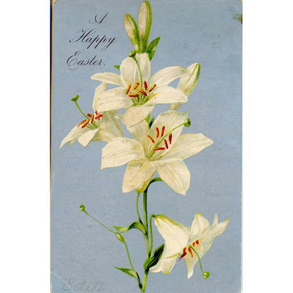 Easter Lilies Vintage Silver Botanical Postcard Embossed 1900s - Vintage Postcard Boutique