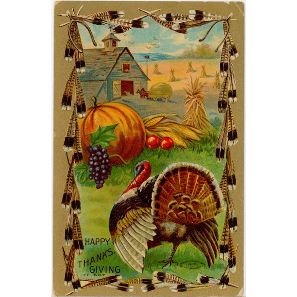 Thanksgiving Turkey Farm Scene Feather Border Vintage Embossed Postcard c. 1910s