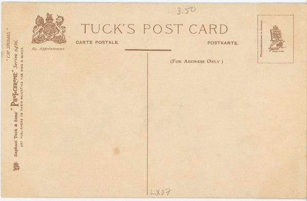 Hey Diddle Diddle Cat Cow Over Moon Tucks Vintage Postcard c1910 (unposted)
