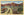 Home on the Desert Southwest Botanical Vintage Postcard (unused) - Vintage Postcard Boutique