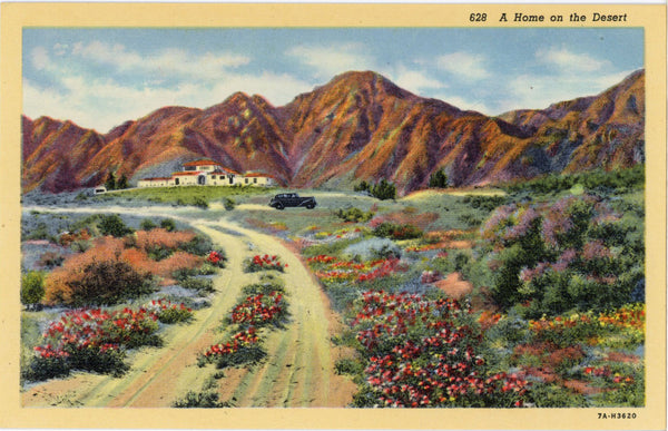 Home on the Desert Southwest Botanical Vintage Postcard (unused) - Vintage Postcard Boutique