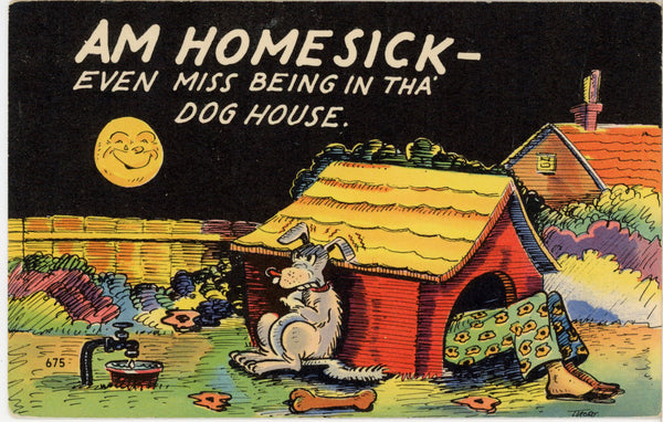 Am Homesick Miss Being in Doghouse Comic Dog Postcard (unposted)