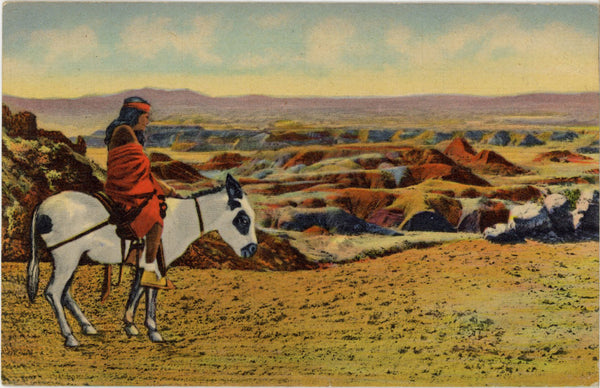 Hopi Indian & Burro Painted Desert Arizona Vintage Native American Postcard 1947