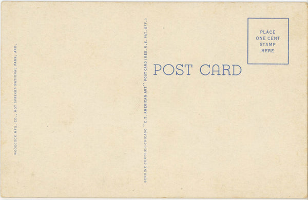 Rooster & Donkey at Bath Fountain Hot Springs National Park Arkansas Vintage Postcard 1940s
