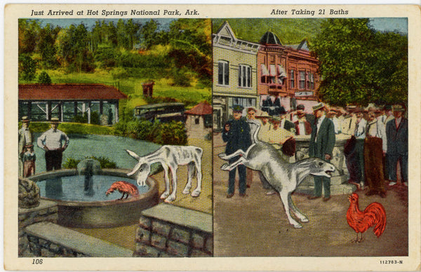 Rooster & Donkey at Bath Fountain Hot Springs National Park Arkansas Vintage Postcard 1940s