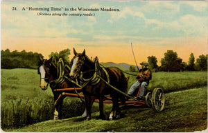 Humming Time in Wisconsin Meadows Vintage Farming Postcard c. 1910 (unposted) - Vintage Postcard Boutique
