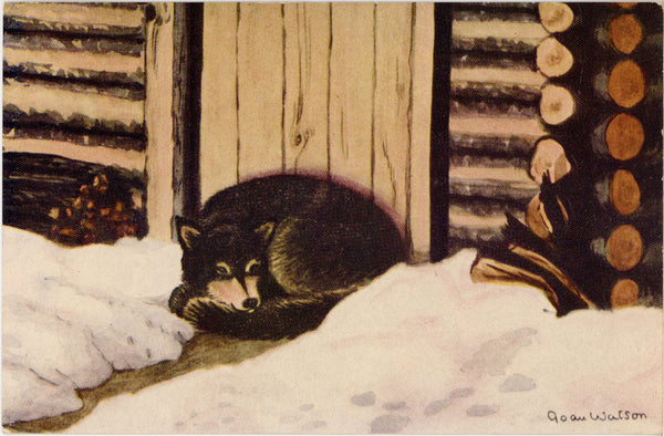 Husky Dog at Doorstep signed JOAN WATSON Vintage Postcard (unposted)