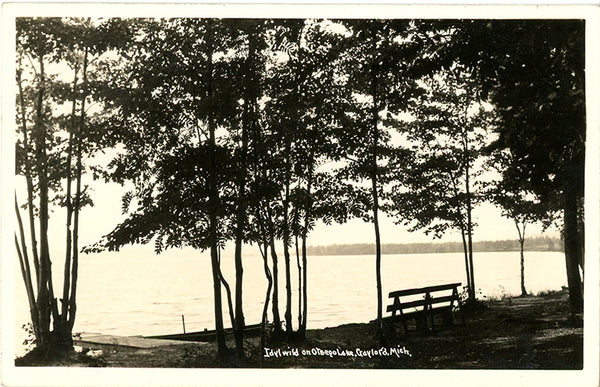 Gaylord Michigan Idylwild Otsego Lake Vintage Real Photo Postcard RPPC 1945