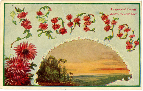 Language of Flowers Asters "I Love You" Vintage Botanical Postcard 1909