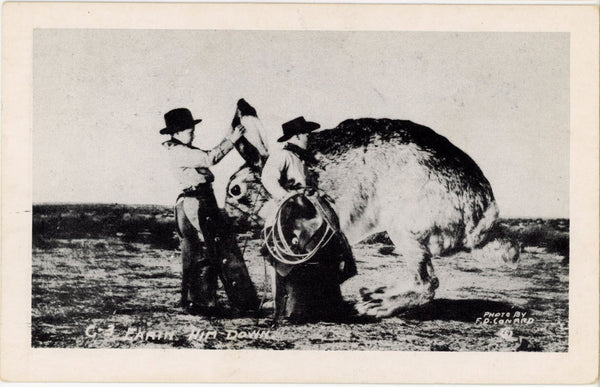 Earin' Him Down Exaggeration Jackrabbit Vintage Western Postcard signed CONRAD