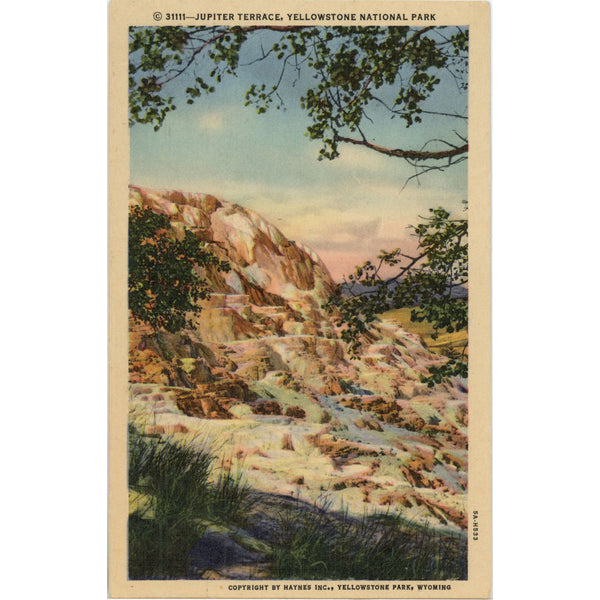 Jupiter Terrace Yellowstone National Park Wyoming Vintage Postcard (unposted)