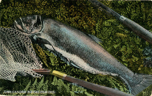 Vintage Fishing Angler Postcard - Just Landed A Beauty Here 1922 - Vintage Postcard Boutique