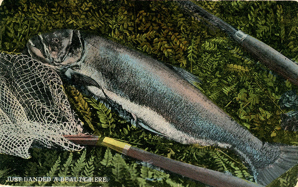 Vintage Fishing Angler Postcard - Just Landed A Beauty Here 1922 - Vintage Postcard Boutique