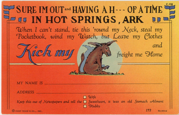 Kick My Ass Hot Springs National Park Arkansas Vintage Comic Postcard 1940s