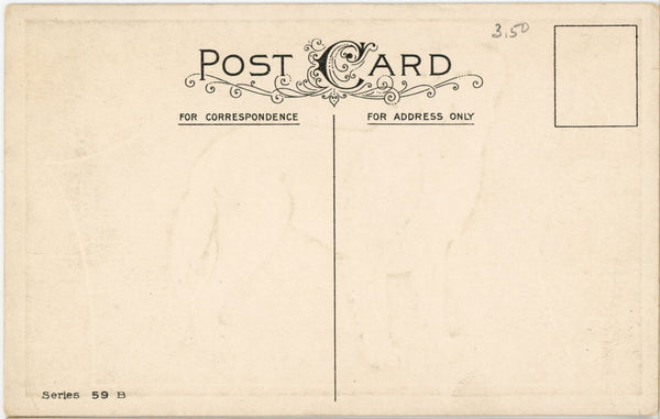 St. Bernard Kindest Regards JAMES E PITT series Vintage Dog Postcard c. 1910s