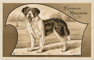 St. Bernard Kindest Regards JAMES E PITT series Vintage Dog Postcard c. 1910s - Vintage Postcard Boutique