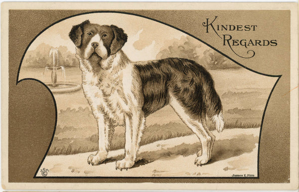 St. Bernard Kindest Regards JAMES E PITT series Vintage Dog Postcard c. 1910s