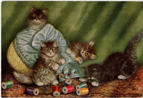 Kittens Playing with Thread in Sewing Basket Vintage Cat Postcard 1916