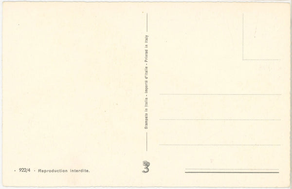 Chocolate Labrador Retriever Vintage Dog Postcard (unposted)