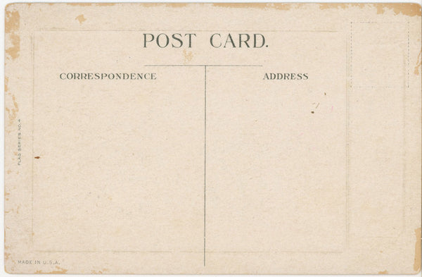 Lady Liberty Patriotic American Flag Series Vintage Postcard c 1910s