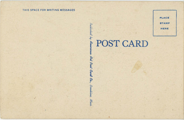 Newport Vermont Lake Memphremagog Vintage Postcard (unused)