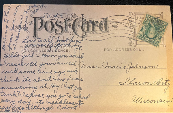 Language of Flowers Rose "Love" Vintage Botanical Postcard 1909