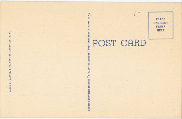 Laurel Falls Smoky Mountains National Park Vintage Postcard (unposted)