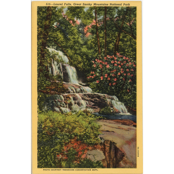 Laurel Falls Smoky Mountains National Park Vintage Postcard (unposted)