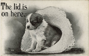Puppy in Hat Lid is on Here Vintage Dog Postcard 1910 - Vintage Postcard Boutique