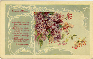 Language of Flowers Lilac Vintage Botanical Postcard 1910 signed Melville - Vintage Postcard Boutique