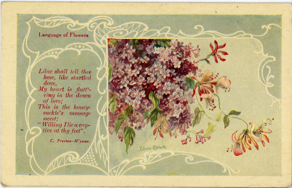 Language of Flowers Lilac Vintage Botanical Postcard 1910 signed Melville
