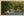 Little Pigeon River Smoky Mountains National Park Vintage Postcard (unposted)
