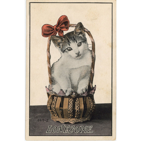 Lonesome Cat in Basket with Red Bow Vintage Cat Postcard 1920 - Vintage Postcard Boutique