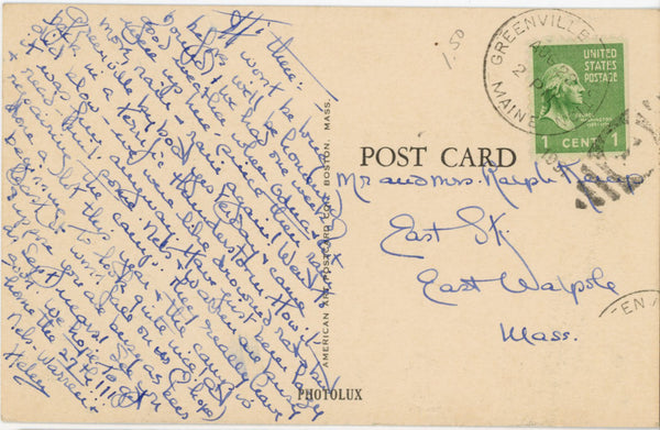Maine Black Bear Cub Drinking Bottle 'Lunch Time' Vintage Postcard 1951