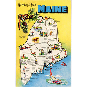 Maine State Map Pine Tree State Vintage Postcard (unused) - Vintage Postcard Boutique
