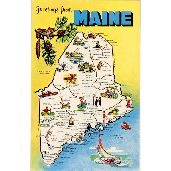 Maine State Map Pine Tree State Vintage Postcard (unused)