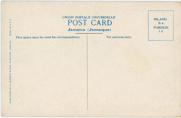 Famous Manchester Grape Fruits Mandeville Jamaica Vintage Botanical Postcard (unused)