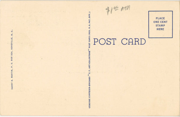 Smoky Mountains National Park Hiking Trail Vintage Postcard c. 1930s